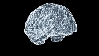 a close up of a human brain on a black background by Shawn Day courtesy of Unsplash.