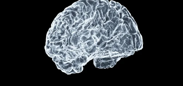 a close up of a human brain on a black background by Shawn Day courtesy of Unsplash.